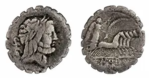 Sprigs Prints: ﻿denarius (serratus). Antonius Balbus, Q