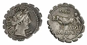 Busts Prints: ﻿denarius (serratus). Marius Capito, C
