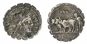 Busts Prints: ﻿denarius (serratus). Marius Capito, C
