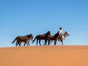 Desert crossing, Namibia, Africa