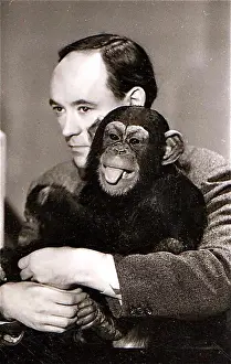 Chimpanzee Prints: Desmond Morris with the chimpanzee Congo on the Zootime TV programme from the London Zoo