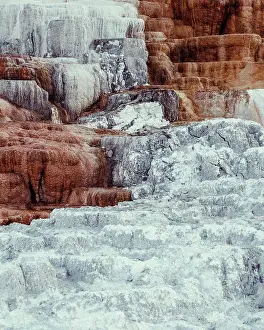 Terrace Prints: Details of Mammoth Terraces in Yellowstone National Park