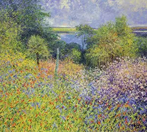 Lush Foliage Prints: Devon, Salcombe, Overbecks, Southsands (Morning)