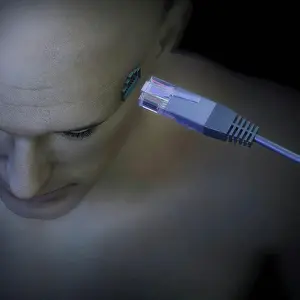 Cyberspace Prints: Diagram showing a LAN cable entering a socket on the side of a human head