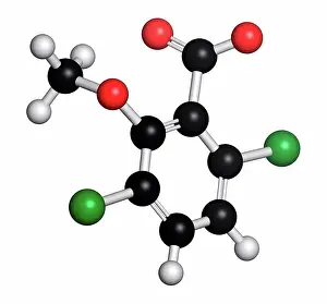 Toxic Prints: Dicamba herbicide molecule. Used in weed control