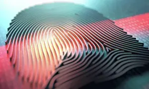 Individuality Prints: Three dimensional finger print, illustration