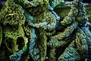 Salad Prints: dinosaur kale close up
