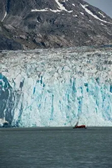 Alaskan Prints: DIP boat with tourists cruising in front of the glacier face of the Dawes Glacier