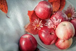 Blanket Prints: Dish with red apples on a white blanket