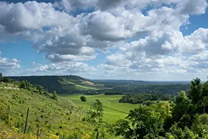 Surrey Prints: Distant view of Box Hill, near Dorking