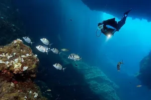 Diving Equipment Prints: Diver in a cave with a lamp, observing a shoal common two-banded seabream (Diplodus vulgaris)
