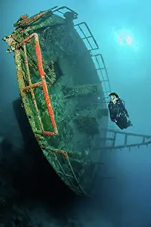Senior Women Prints: Diver dives swims at viewed shipwreck sunken ship wreck Laura Marie
