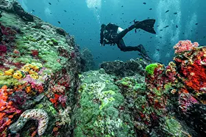 Diving Equipment Prints: Diver exploring the tropical waters at the Andaman Sea in Thailand