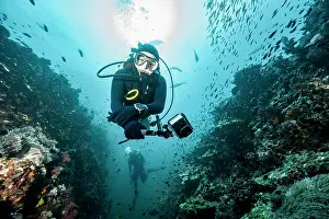 Diving Equipment Prints: diver exploring the tropical waters around the Similan Islands