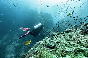 Diving Equipment Prints: diver exploring the tropical waters around the Similan Islands