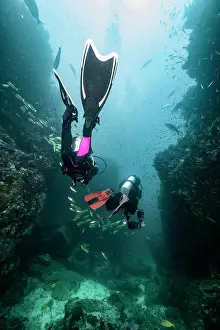 Diving Equipment Prints: divers descending into the tropical waters around the Similan islands