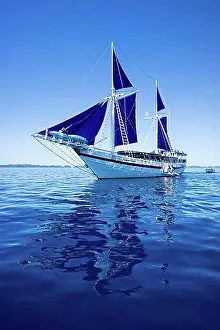 Body Of Water Prints: Diving sailing ship PALAU SIREN, Palau, Micronesia, Oceania