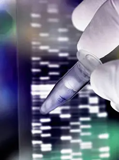 DNA research