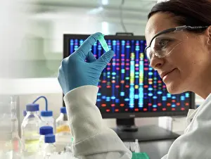 Results Prints: DNA research
