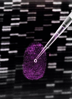 Personal Prints: DNA sample being pipetted onto human fingerprint and DNA gel to illustrate genetic engineering