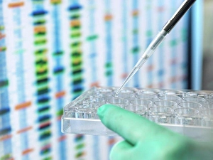 Result Prints: DNA Sciences, Scientist pipetting a sample into a multi well plate ready for automated analysis in age lab with the DNA