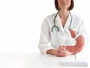 Medical Procedure Prints: Doctor with model of stomach with gastric band