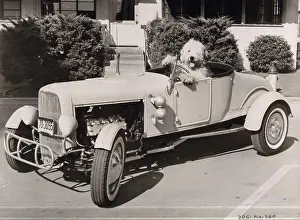 Humour Prints: Dog in car on street