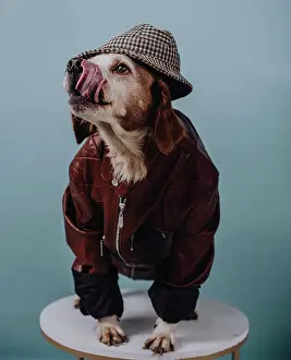 Doggie Prints: dog in jacket and hat with tongue
