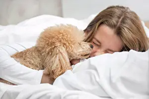 Gradeschooler Prints: The dog in the morning in bed wakes up the girl mistress