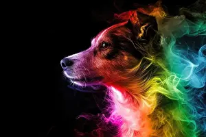 Luminous Prints: dog with rainbow smoky luminescent wallpaper