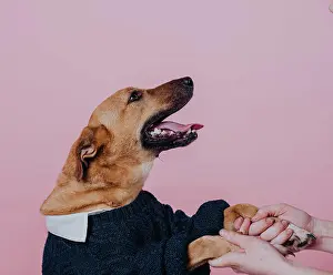 Doggie Prints: dog in shirt and pullover smiles