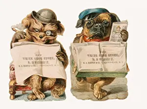 Occasion Prints: Two Dogs read Newspapers