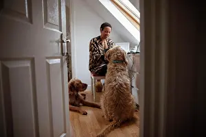 50 54 Years Prints: Dogs watching woman working from home in home office doorway