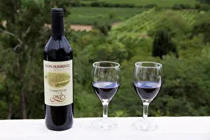 Beverage Prints: Don Humberto Carmenere Wine Bottle And Glasses, Calamuchita, Tarija, Bolivia