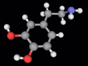 Matter Prints: Dopamine, molecular model. Organic compound functioning as a neurotransmitter in the brain