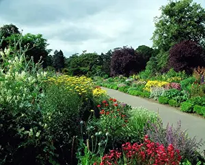 Republic Of Ireland Prints: Double Herbaceous Borders, National Botanic Gardens, Dublin, Ireland