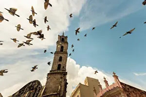 Azure Prints: Doves flying in front of the church of Havana