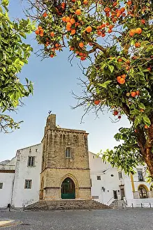Historic District Prints: Downtown of Faro with Se Cathedral in the morning with orange tree in the foreground