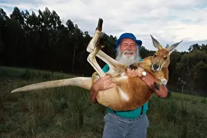 Animal Prints: dr. j. wamsley holding red kangaroo founder & managing director of earth sanctuaries limited