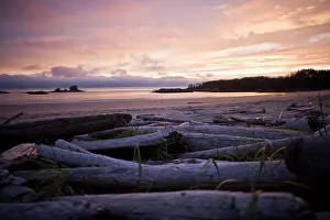 Peninsula Prints: Drift wood along a beach at sunset