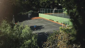 Aerial Prints: Drone, aerial view of basketball court and basketball player man preparing for training match