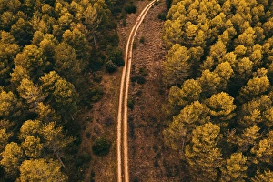 Aerial Prints: Drone aerial top view of scenic landscape of rural road motorway through forest in countryside