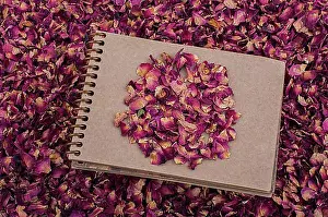 Notes Prints: Dry rose petals placed on a spiral notebook