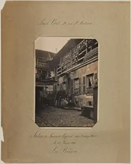 Skins Prints: Dryer of rabbits (in the Passage Moret) / February 13