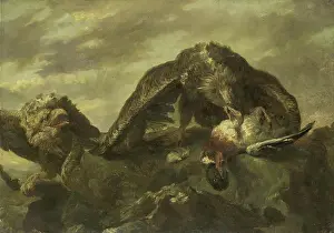 Eagles on the Cliffs, Joannes Fijt (copy after)