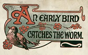 Letter Prints: An Early Bird Catches the Worm Postcard Private Collection
