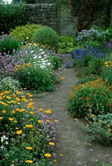 Walled Prints: Earth path though colourful herbaceous borders in walled country garden in summer