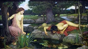 Myth Prints: Echo and Narcissus by John William Waterhouse painted 1903