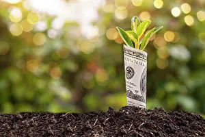 Invest Prints: Economic Growth symbol one hundred dollar bill with a plant or leaf growing out of the earth with blurred green
