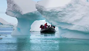 Environmentalism Prints: Ecotourism, Antarctica